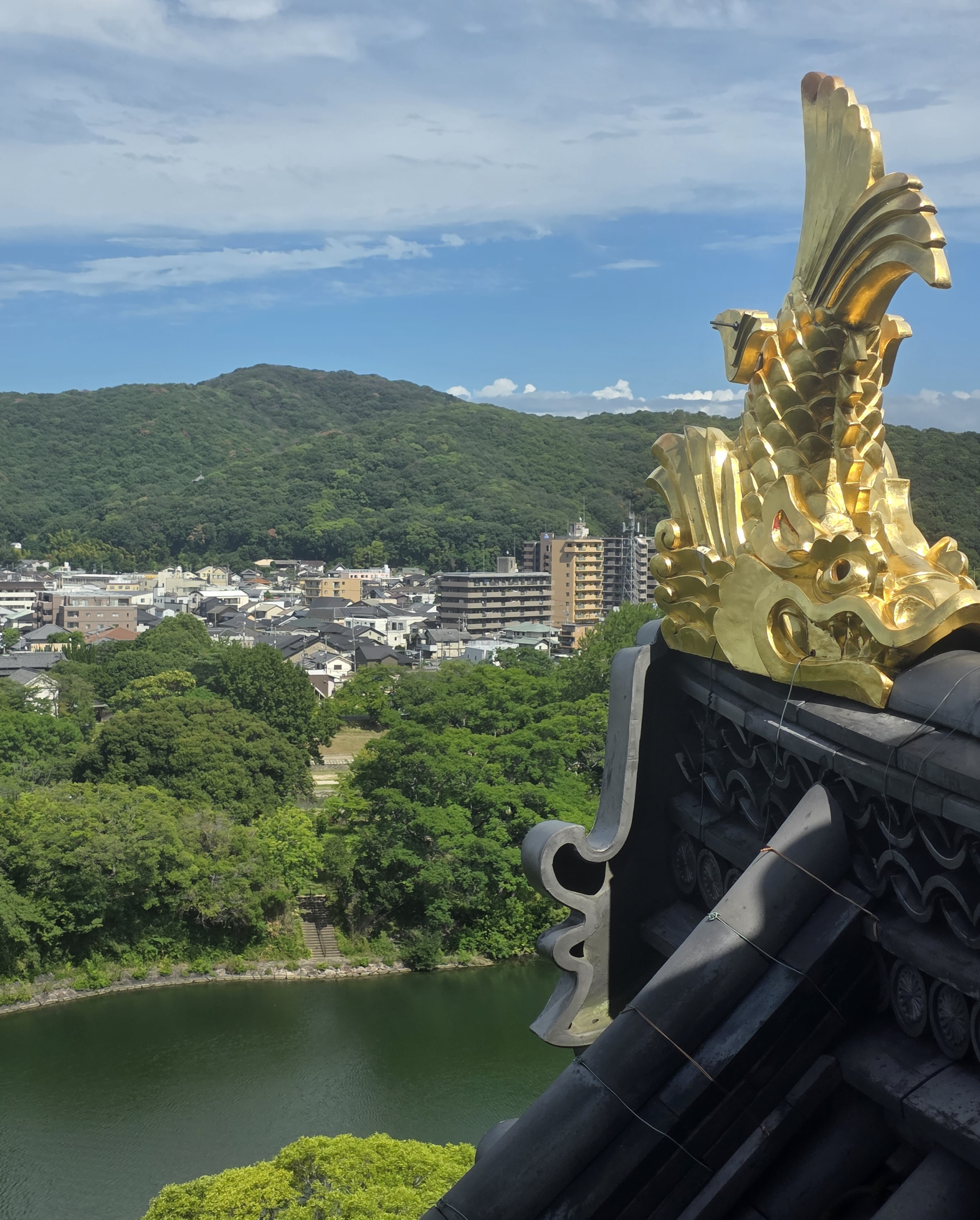 3. Still Curious About Japan- A Continuation
